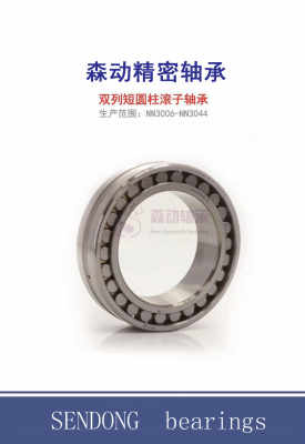 通江縣NSK與NTN軸承等級查詢指南 以E2.6309-2Z-C3為例